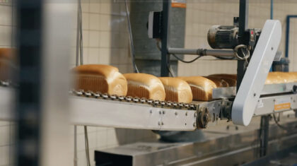 Versgebakken broden op een lopende band in een industriële bakkerijomgeving.