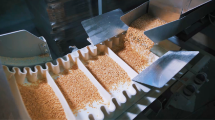 Graan op transportband in een productieomgeving voor voedingsmiddelen